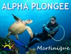 Alpha Plongée Martinique